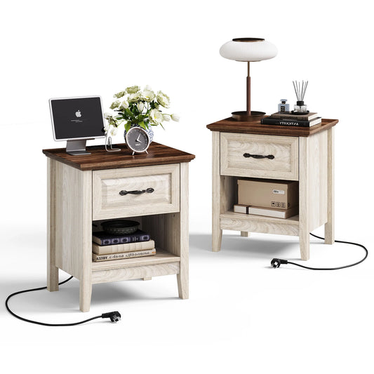 GIKPAL Rustic Nightstand with Charging Station Set of 2, 2-Drawer Wooden Side Table for Bedroom & Living Room, Oak White